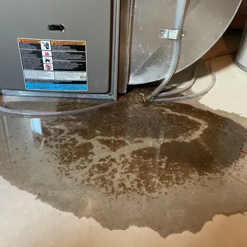 Appliance Leak Cleanup in Lyons, IL